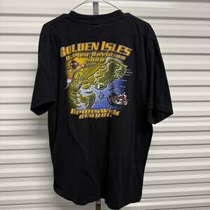 Harley Davidson 2010 Golden Isles Brunswick...